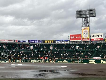 雨上がりのグラウンドを整備する阪神園芸のスタッフら（撮影・西田忠信）