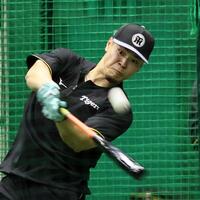 打撃練習をする佐藤輝（撮影・田中太一）