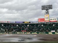 雨上がりのグラウンドを整備する阪神園芸のスタッフら（撮影・西田忠信）