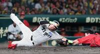 ５回、高橋の打球で本塁を狙うもアウトになる伏見（撮影・西田忠信）