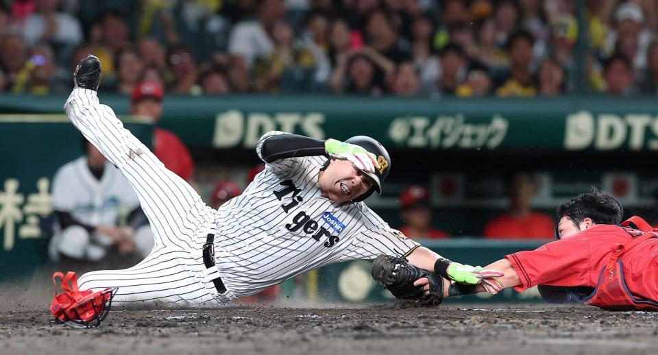 ５回、高橋の打球で本塁を狙うもアウトになる伏見（撮影・西田忠信）