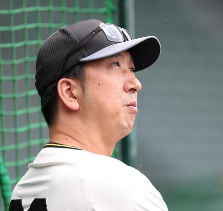 試合前練習を見る藤川監督（撮影・西田忠信）