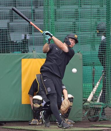 フリー打撃で打ち込む佐藤輝（撮影・立川洋一郎）