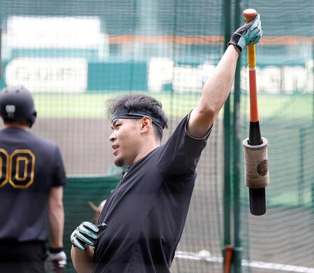 打撃練習に臨む阪神・佐藤輝明＝甲子園（撮影・西田忠信）