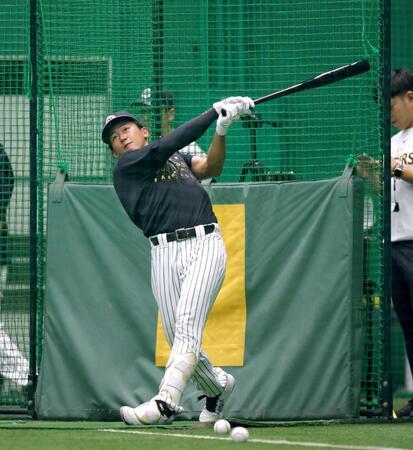 フリー打撃で打ち込む立石（撮影・立川洋一郎）