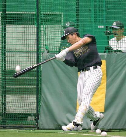 フリー打撃で打ち込む立石（撮影・立川洋一郎）