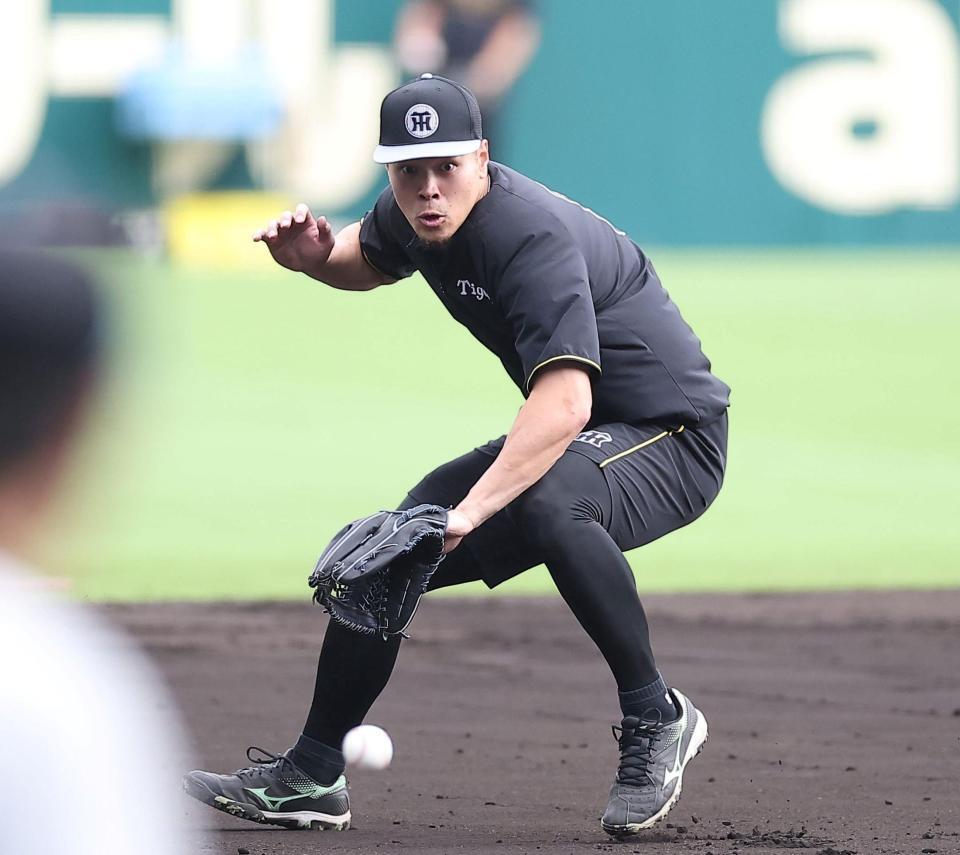 ノックを受ける阪神・佐藤輝明＝甲子園（撮影・西田忠信）