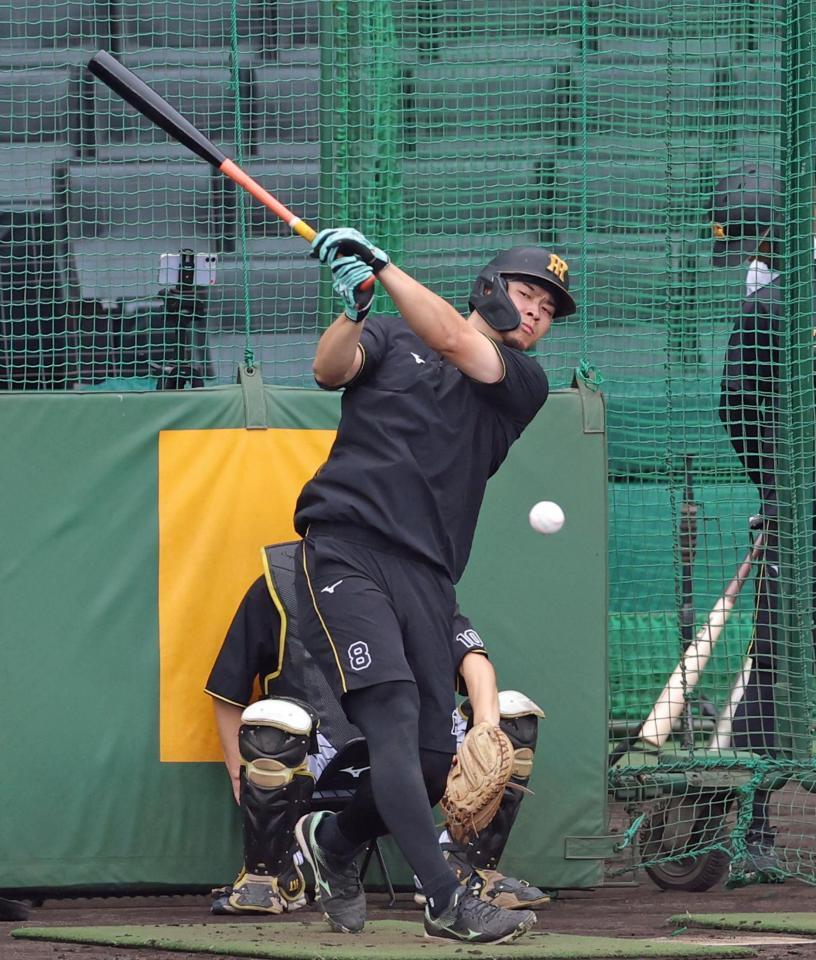 フリー打撃で打ち込む佐藤輝（撮影・立川洋一郎）
