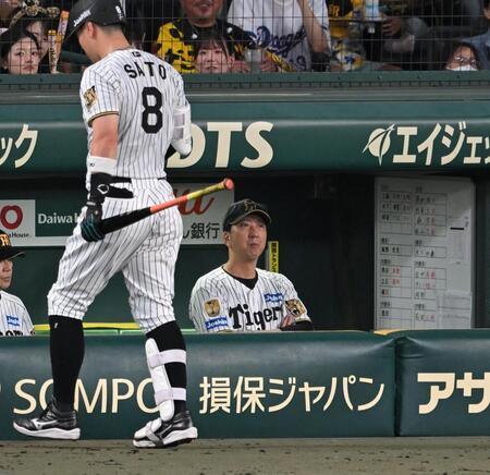 ２回、ベンチから戦況を見守る藤川監督（撮影・飯室逸平）