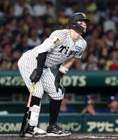 ２回、大飛球の行方を見つめる佐藤輝（撮影・西田忠信）