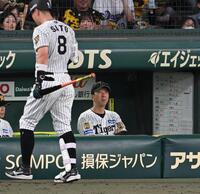 ２回、ベンチから戦況を見守る藤川監督（撮影・飯室逸平）