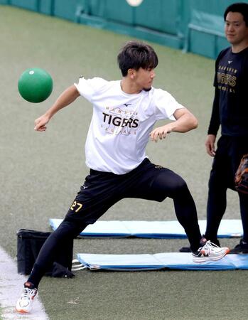 　トレーニングを続け汗を流す伊藤将（撮影・立川洋一郎）