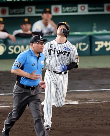 ７回、左飛に倒れる坂本（撮影・山口登）