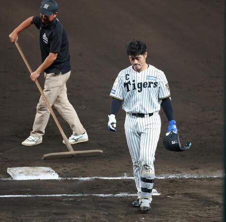 ７回、左飛に終わりベンチへ引き揚げる坂本（撮影・立川洋一郎）