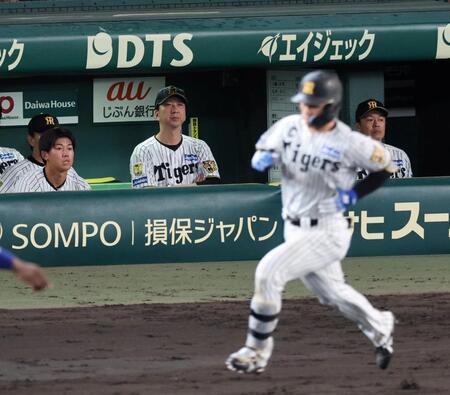 ７回、坂本が左飛に倒れ、グラウンドを見つめる藤川監督（撮影・山口登）