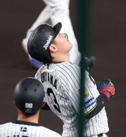 　９回、空振り三振に倒れ天を仰ぐ大山（撮影・立川洋一郎）