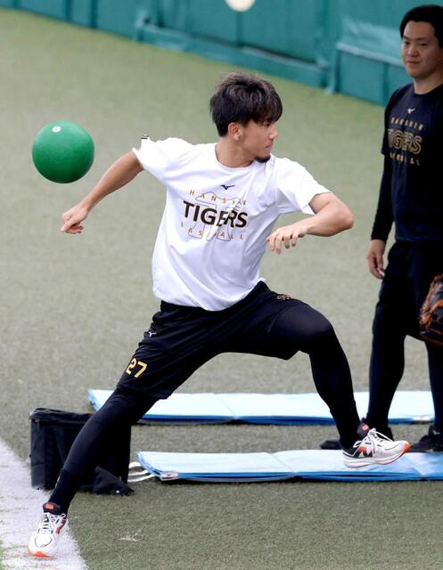 　トレーニングを続け汗を流す伊藤将（撮影・立川洋一郎）