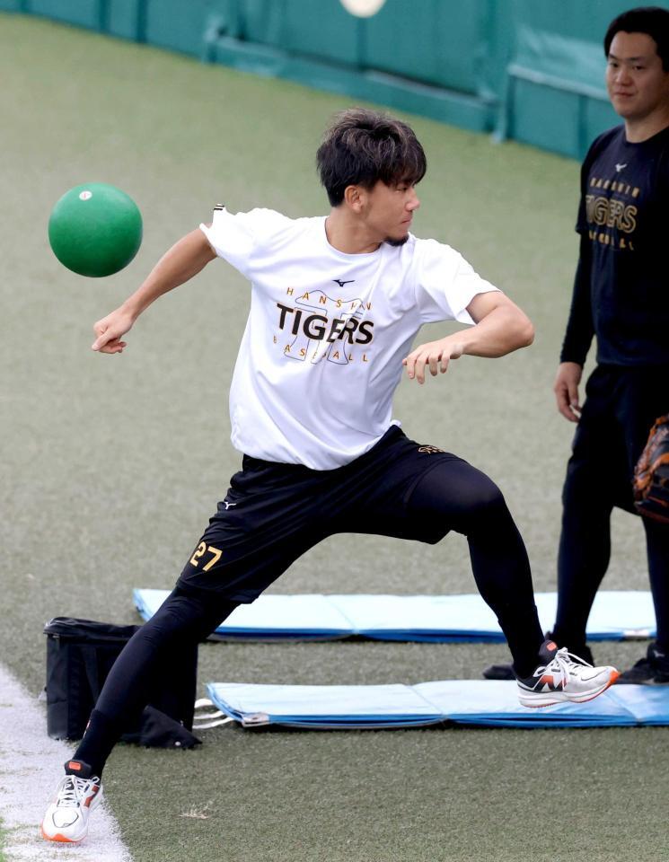 　トレーニングを続け汗を流す伊藤将（撮影・立川洋一郎）