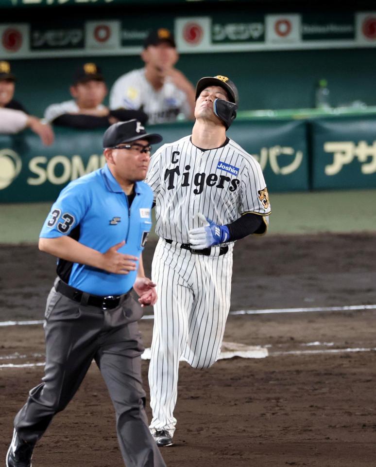 ７回、左飛に倒れる坂本（撮影・山口登）