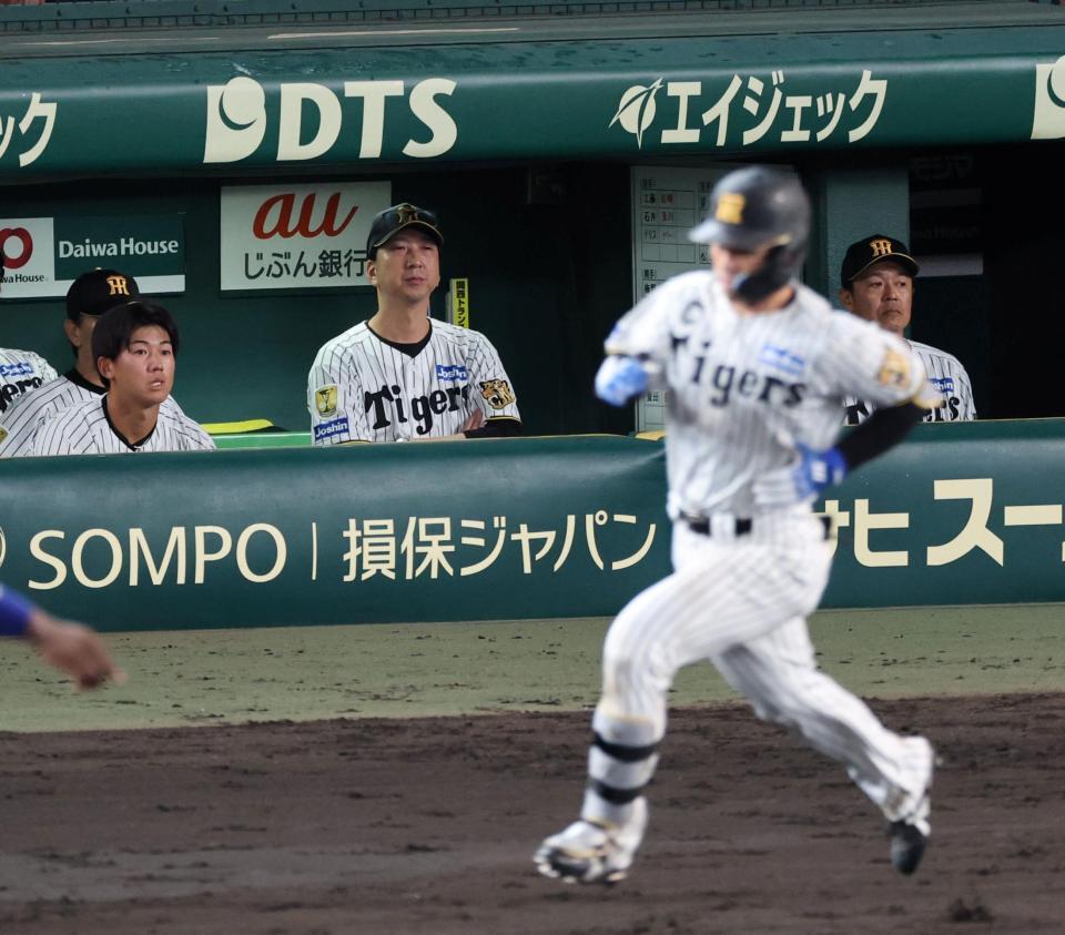 ７回、坂本が左飛に倒れ、グラウンドを見つめる藤川監督（撮影・山口登）