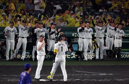 ５回、森下の同点適時打に阪神ナインはベンチを出て喜ぶ（撮影・山口登）