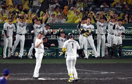 ５回、森下の同点適時打に阪神ナインはベンチを出て喜ぶ（撮影・山口登）