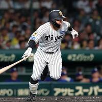 ４回、満塁の好機で併殺に倒れる糸原（撮影・西田忠信）