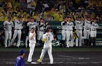 ５回、森下の同点適時打に阪神ナインはベンチを出て喜ぶ（撮影・山口登）