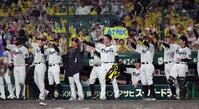 ５回、森下の適時打で盛り上がる阪神ベンチ（撮影・田中太一）