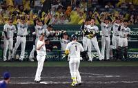 ５回、森下の同点適時打に阪神ナインはベンチを出て喜ぶ（撮影・山口登）