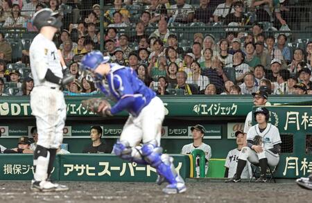 　９回、佐藤輝が三振に倒れ７連敗。ベンチでグラウンドを見つめる藤川監督（撮影・田中太一）