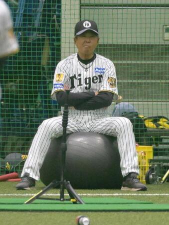 バランスボ-ルに渋い表情で腰掛ける平田２軍監督（撮影・金居みつよし）