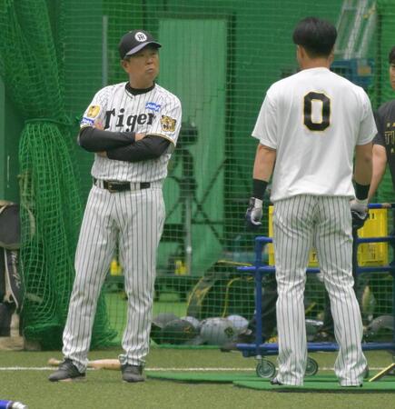 木浪にアドバイスをする平田２軍監督（撮影・金居みつよし）