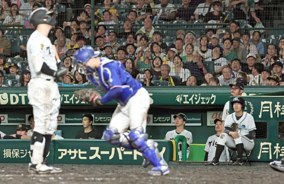 　９回、佐藤輝が三振に倒れ７連敗。ベンチでグラウンドを見つめる藤川監督（撮影・田中太一）