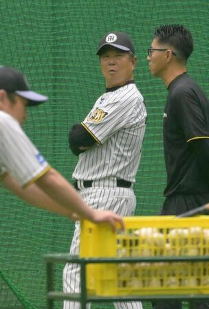 練習を見守る平田２軍監督（撮影・金居みつよし）
