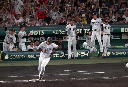 ４回、大山がソロを放ち盛り上がる阪神ナイン（撮影・山口登）