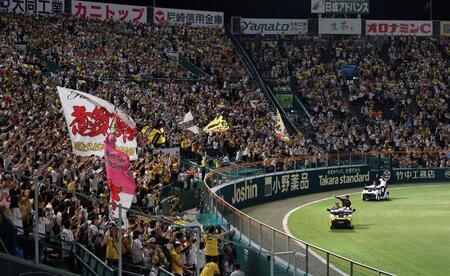 リリーフカーに乗りグラウンドを一周する高橋と森下に声援を送る阪神ファン（撮影・山口登）