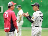 　広島・高２軍監督（左）と談笑する平田２軍監督（撮影・金居みつよし）