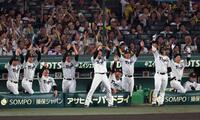 １回阪神、先制に盛り上がる阪神ナイン（撮影・山口登）