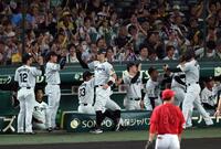 １回、大山の適時二塁打で生還しナインに迎えられる佐藤輝と森下（撮影・山口登）