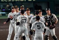 連敗を脱出し、タッチする佐藤輝ら阪神ナイン（撮影・山口登）