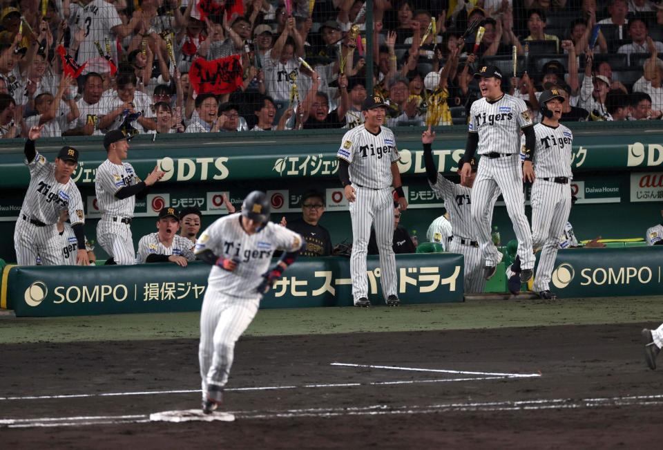 ４回、大山がソロを放ち盛り上がる阪神ナイン（撮影・山口登）