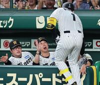 ４回、２ランを放った森下を迎える藤川監督（撮影・田中太一）