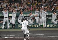 ４回、佐藤輝の先制打に沸く阪神ナイン（撮影・飯室逸平）