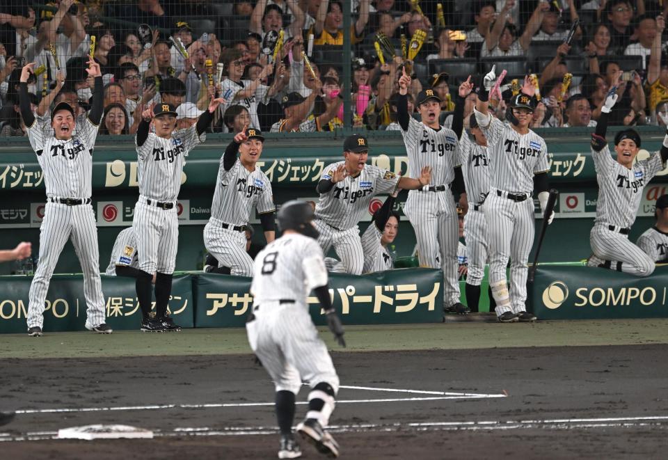 ４回、佐藤輝の先制打に沸く阪神ナイン（撮影・飯室逸平）