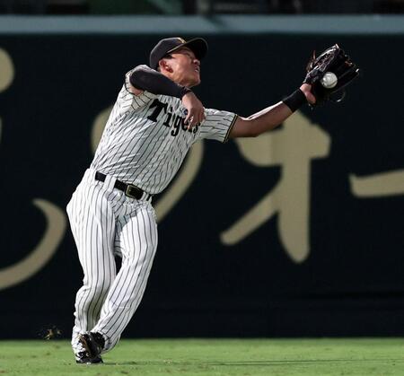 ４回、中村奨の打球を捕る立石（撮影・田中太一）