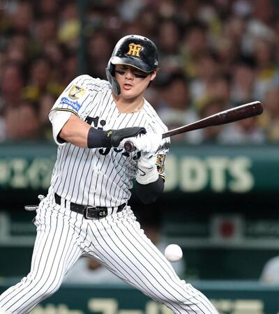 デイリースポーツ 主要ニュース