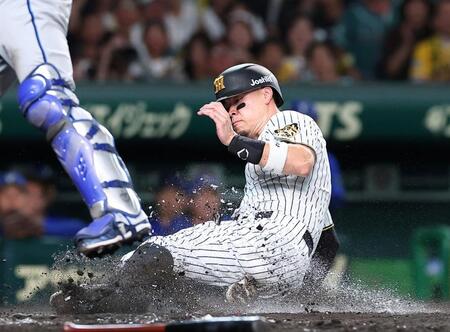 ４回、元山の打球で生還する佐藤輝（撮影・西田忠信）