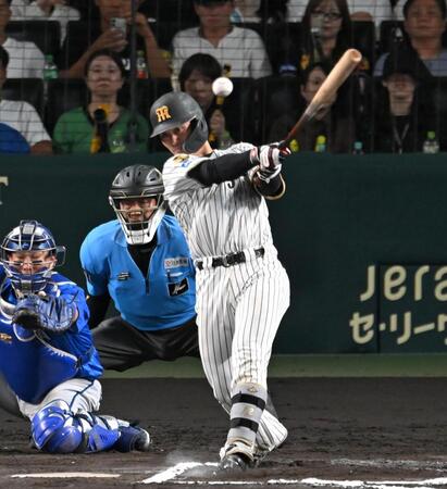 ６回、左前打を放つ坂本（撮影・飯室逸平）