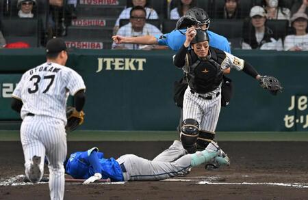 ８回、スクイズを阻止する阪神バッテリー（撮影・飯室逸平）